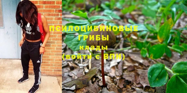 а пвп мука Новозыбков