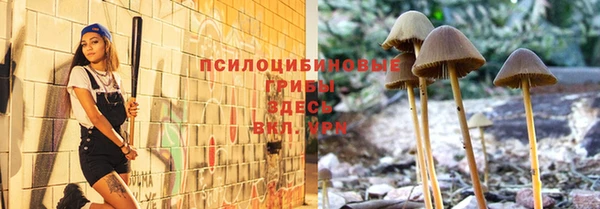 меф Новодвинск